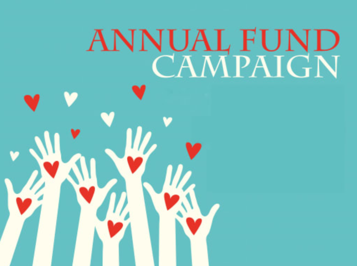 (Official poster of the Annual Fund campaign (Chadwick International)
